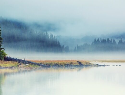 Hiking Oregon's Mystic Trails: Top 5 Must-Visit Locations for Panoramic Vistas