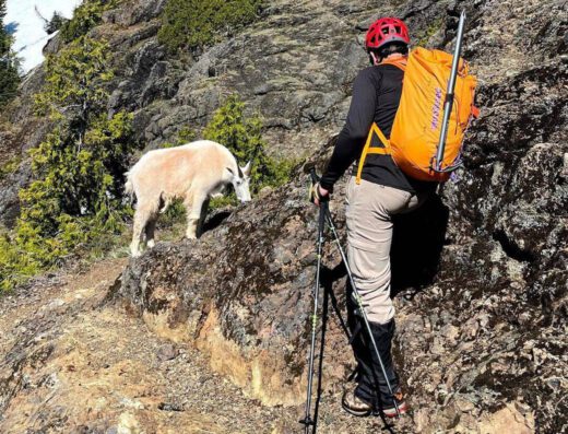 Mountain Ventures with Yura: Embrace the Peaks and Elevate Your Passion